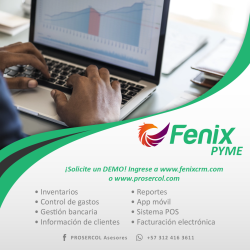 Software Fenix Pyme