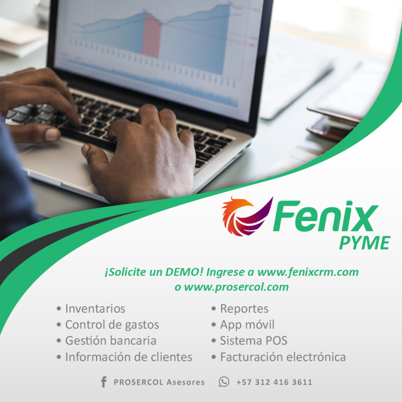 Software Fenix Pyme